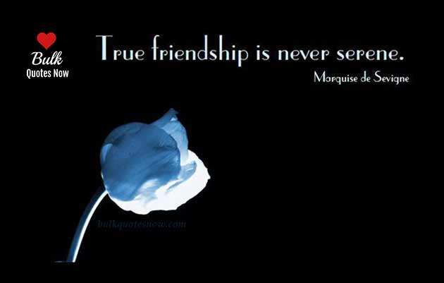 true-friendship-quotes-warm-your-best-friend-s-heart-bulkquotesnow