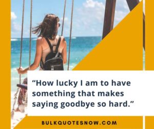 farewell quotes and goodbye quotes