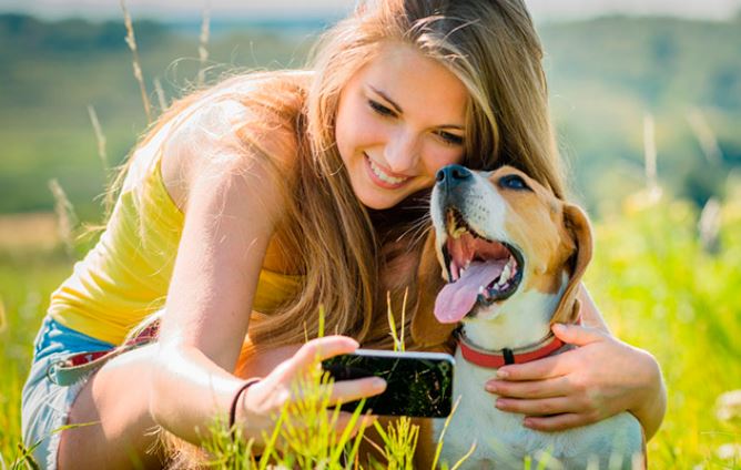 The 5 Best Pet Insurance Brands of This Year