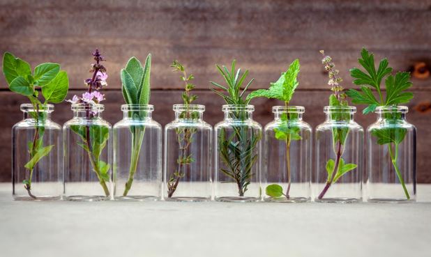 Reasons to Use Botanical Products