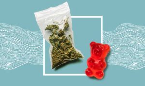Is an 80 mg edible or CBD Gummies too strong