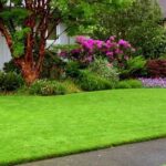 5 Tips For A Beautiful Lawn