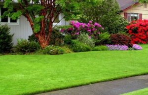 5 Tips For A Beautiful Lawn