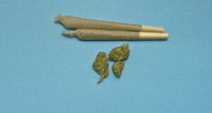 How to Avoid the Most Common Mistakes Made During Cannabis Consumption