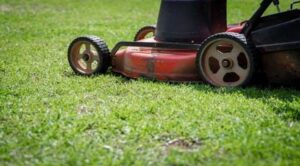 Your Fundamental Guidelines in Choosing the Right Lawnmower