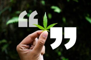 iHemp Is the Only Place In Winston Salem That Has Canna X Delta 10 products