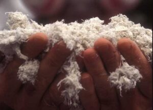 Asbestos Testing Kits for Do-It-Yourself Testing