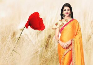 12 Different types of sarees you need to know about from across the country