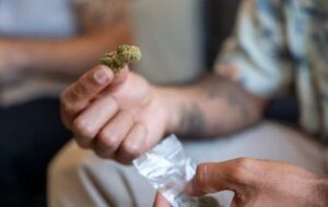 How to Stay on Top of Current Cannabis Trends