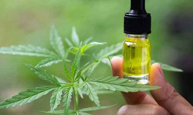 Are There Different Kinds of CBD Oils for Different Things?