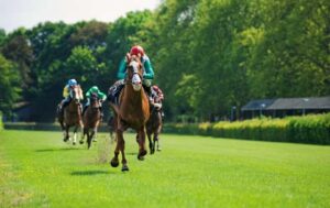 Previous winners of the Champion Hurdle