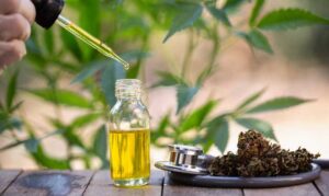 What does CBD oil help with