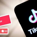 How I became a TikTok leader with more than 100k followers