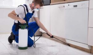 Tips for Selecting a Pest Control Service