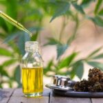What Kinds of Other Cannabinoids Are There in CBD Oils