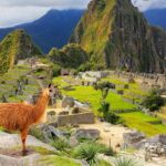 When to Book That South American Cruise