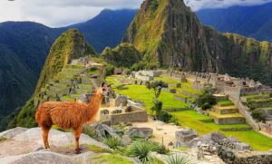 When to Book That South American Cruise