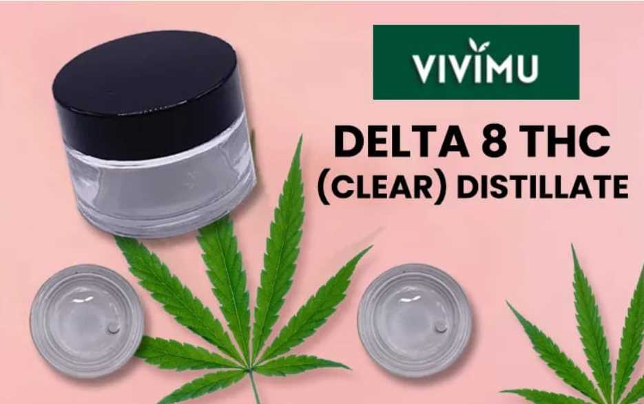 What is The Best Way to Buy Delta 8 THC Distillate?