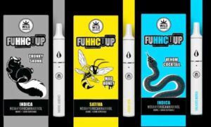 Why do People Smoke Delta 8 Disposable Vape Pens