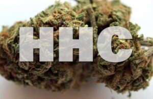 Introduction to HHC