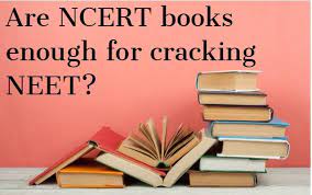 Do you think NCERT books are enough for class 11 preparations?