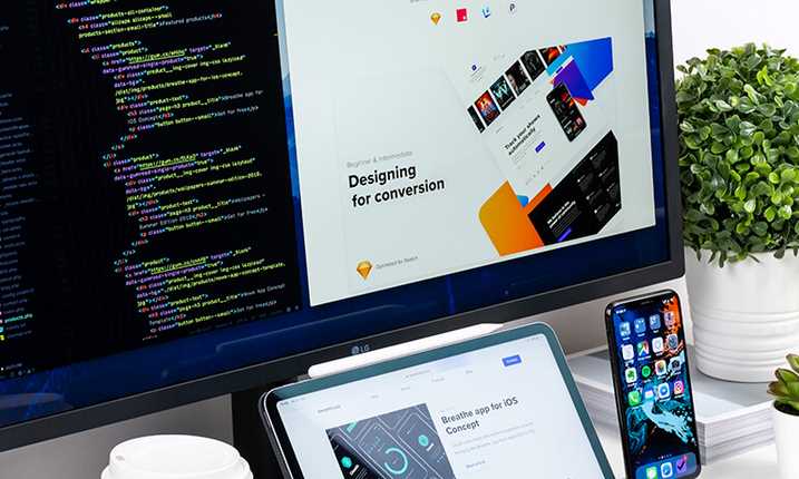 8 Things You Need to Know About Web Design Development