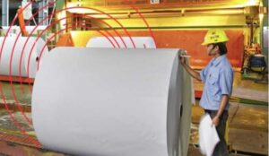Things You Need To Know About Asia Pulp And Paper