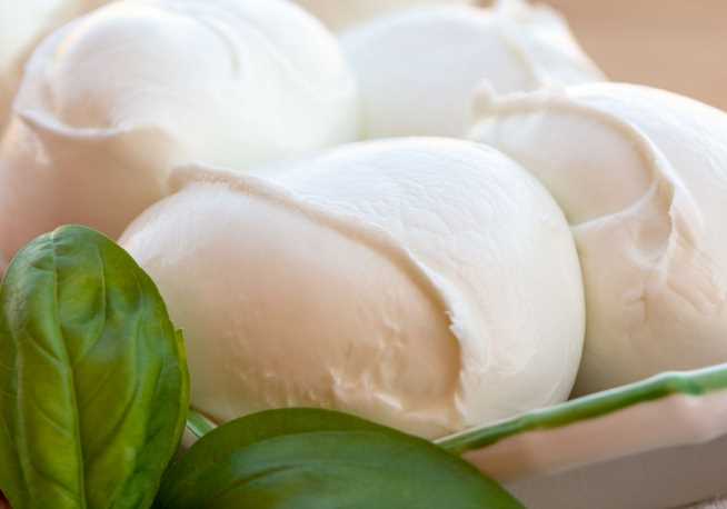 What is the best website to buy mozzarella cheese?