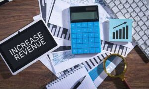 What to Look for in a Top Revenue Company Management Company