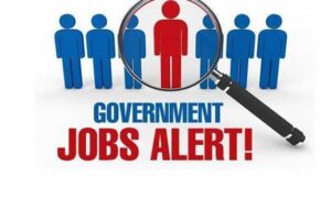 Why will you choose the Sarkari website for government jobs