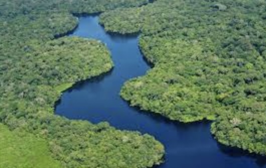 Top 5 Interesting Facts About The Amazon Basin