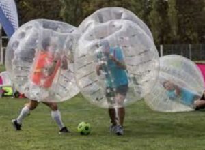 Best Place To Buy A Zorb Ball