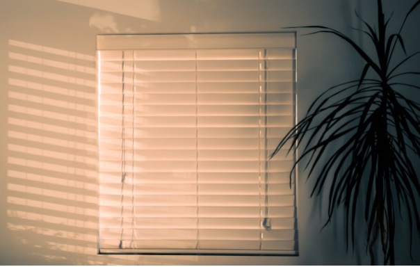 Create the Perfect Ambiance with Window Blinds