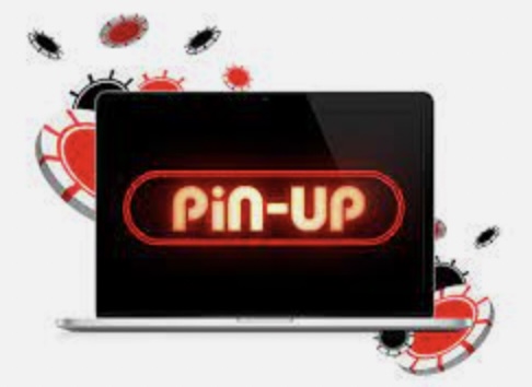 Review of the Pin Up betting bookmaker in India