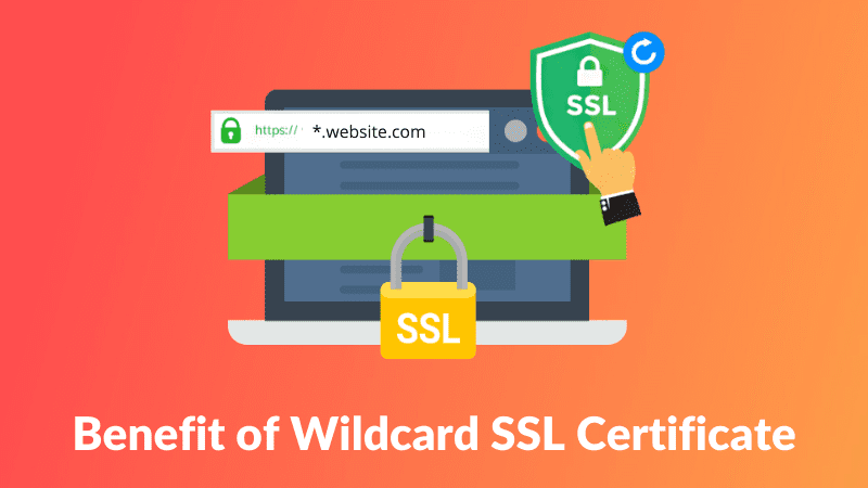 The Benefits of Wildcard SSL Certificates for Small Businesses
