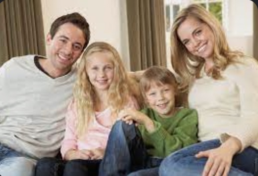 How can Family Lawyers in Holland Help You?