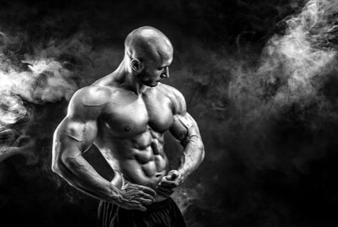 Best Natural Muscle Building Supplements