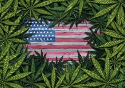 Cannabis Culture in Washington D.C.: A New Era of Acceptance