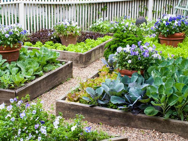 Raised beds, Raised garden planters