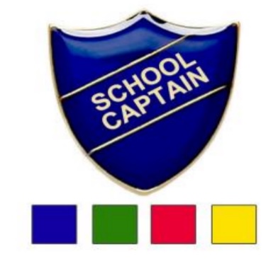 Showcasing School Spirit and Rainbow badges