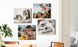 Top 12 Companies Offering Canvas Prints, Wall Art & Photo Tiles