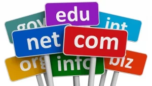 Domain Registration Services