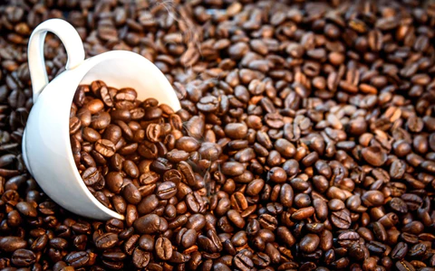 Here’s A Brief Overview Of The Making Of Coffee: From Seed To Cup