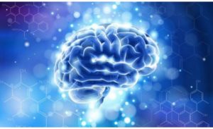 Unlock Your Memory Now with Nootropic Supplements