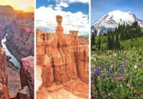 The five best things to do in America’s national parks