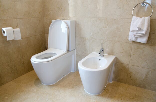 Why Isn’t There a Bidet in Every House?