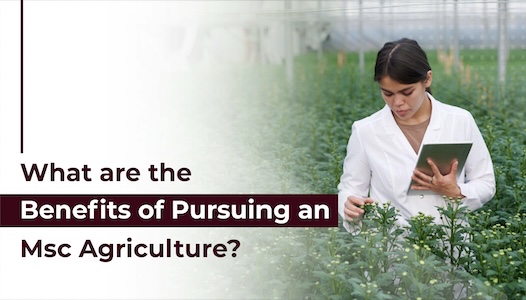 What are the Benefits of Pursuing an MSc Agriculture?