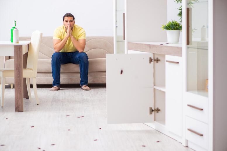 10 Things You Didn’t Know Were Attracting Pests Into Your Home