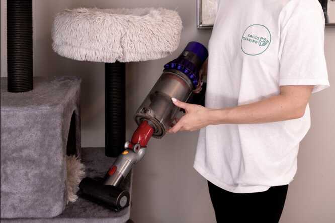 Pet routines reduce cleaning load