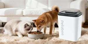 Guarding Your Pet’s Food Against the Humidity of the Plum Rain Season